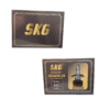 SKG - 160 watt LED